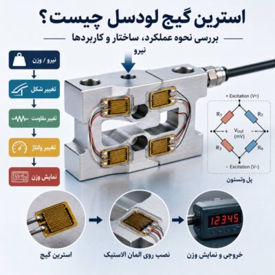 استرین گیج لودسل